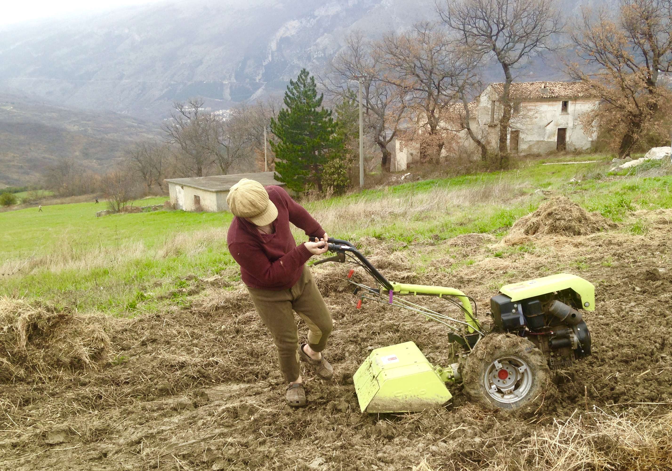 Sustainable Development and the Real Star Grillo