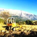 Clearing abandoned land in Italy