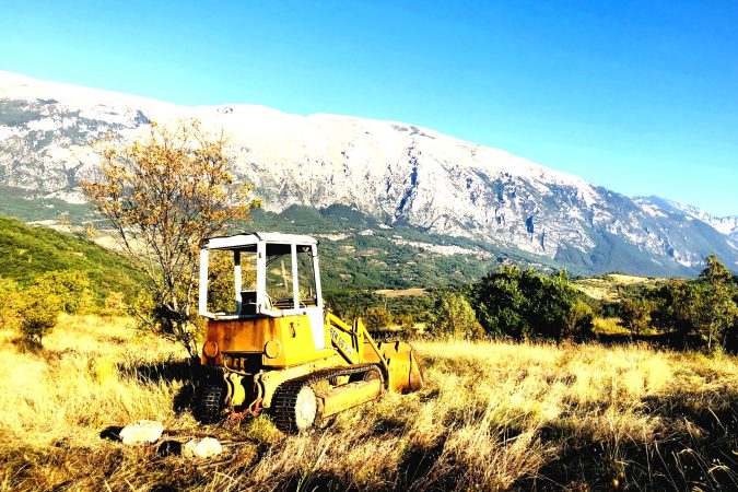 Clearing abandoned olive fields.