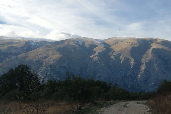 The Call to Colloborate